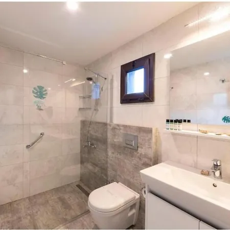 Luxury Apartment